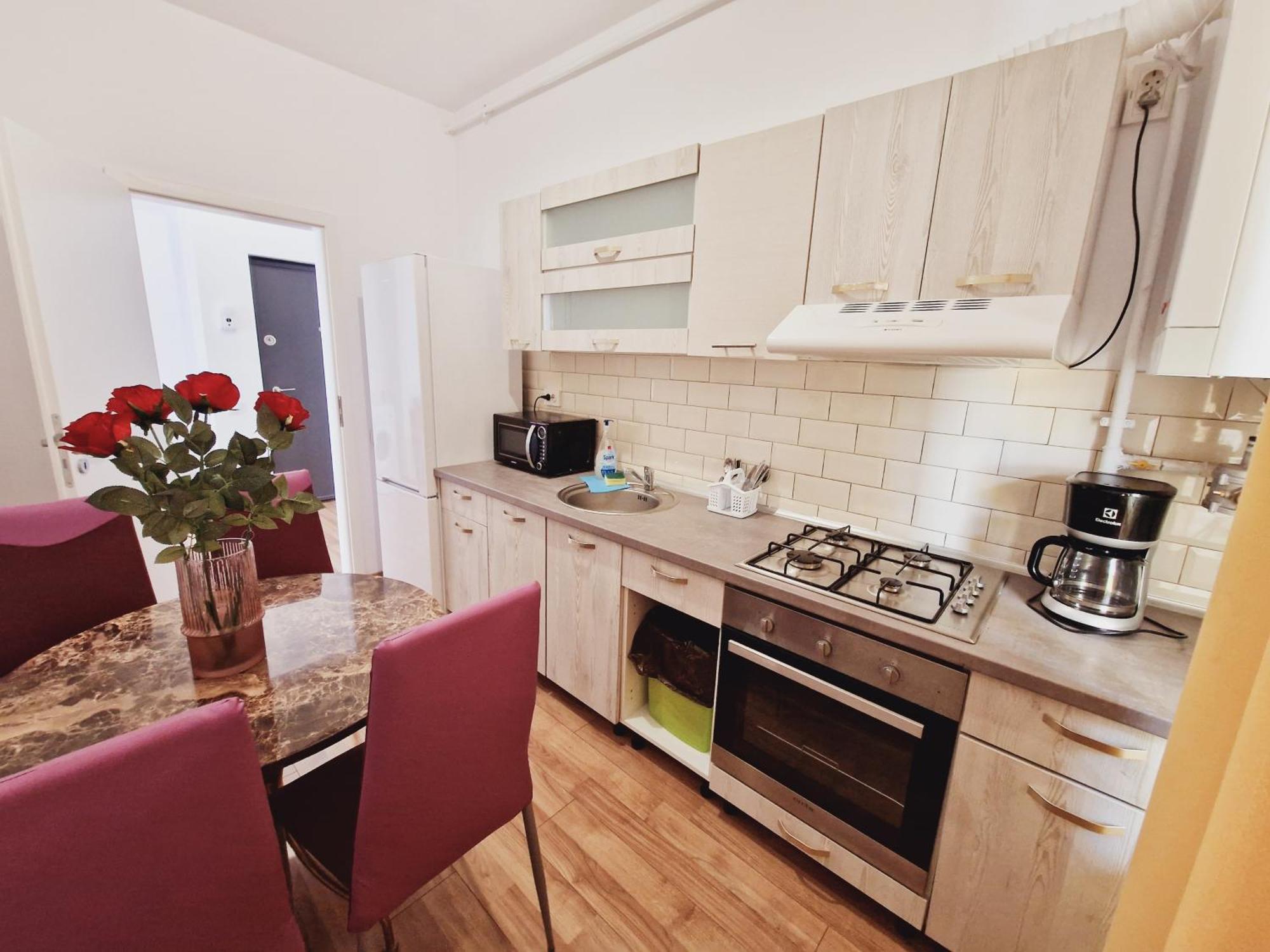 Ultracentral 5* Boutique Hotel Style Apartment. Brand New. 2 Rooms. Spacious. Free Parking Cluj-Napoca Esterno foto
